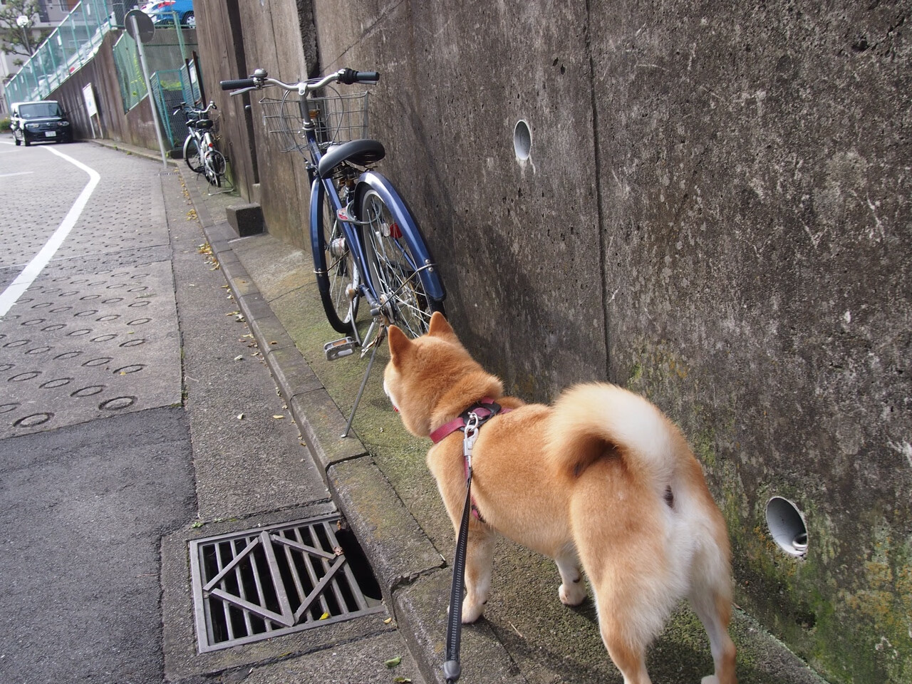 详细阅读:九游娱乐官网 (jiuyou)-_绿能动力极限冲浪:环保运动的新标杆_,绿色动力节能 九游娱乐官网 (jiuyou)-_绿能动力极限冲浪:环保运动的新标杆_,绿色动力节能