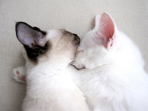 详细阅读:九游网页版官网-《电竞新规发布:行业规范促发展》,电竞条例 九游网页版官网-《电竞新规发布:行业规范促发展》,电竞条例