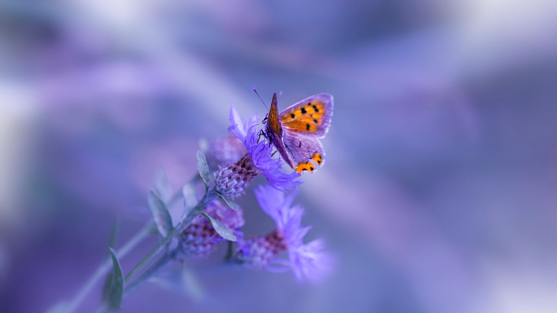 详细阅读:JIU YOU GAME-《英雄联盟:年度总决赛精彩瞬间回顾》,英雄联盟总决赛视频2020 JIU YOU GAME-《英雄联盟:年度总决赛精彩瞬间回顾》,英雄联盟总决赛视频2020