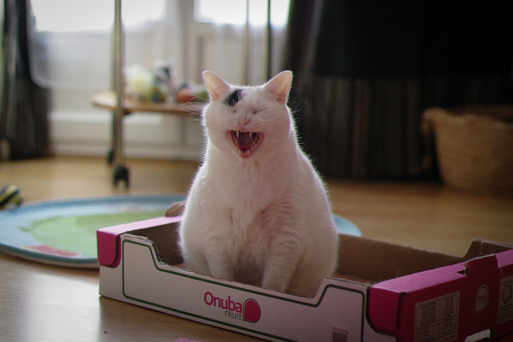 九游sports-全国青少年“篮球梦想营”在云南正式启动，ybdl青少年篮球发展联盟收费标准