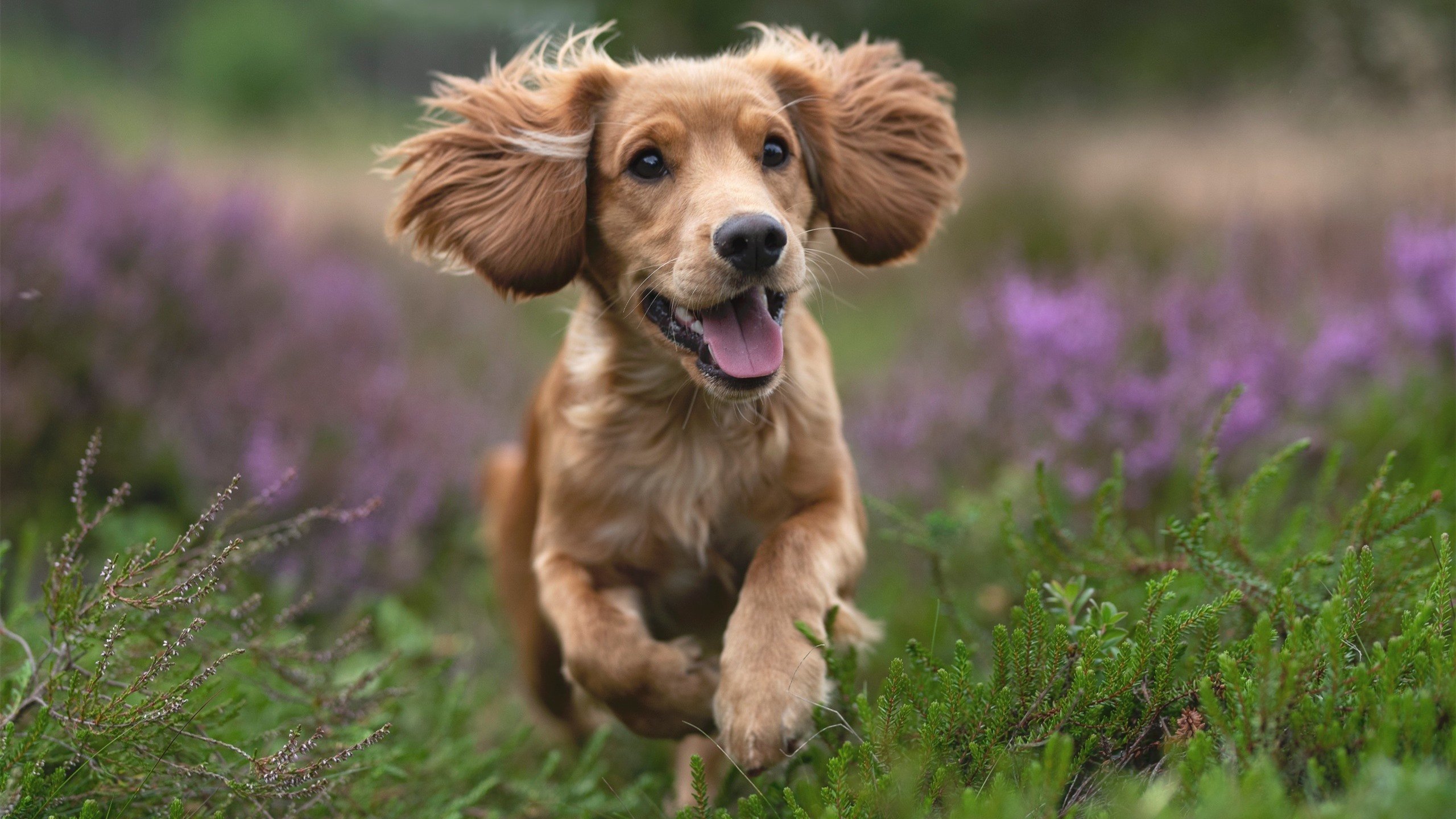 九游网页版入口-城市奔跑寻宝游，运动与趣味的完美结合，城市寻宝活动怎么玩