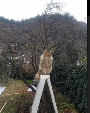 九游官网pc-比赛当天的秘密准备:车队的幕后花絮,比赛的那天