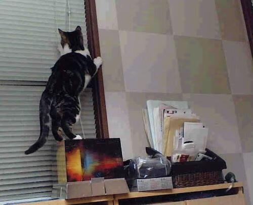 九游jiuyou-足球社区球赛带动邻里互动和谐发展，社区足球队