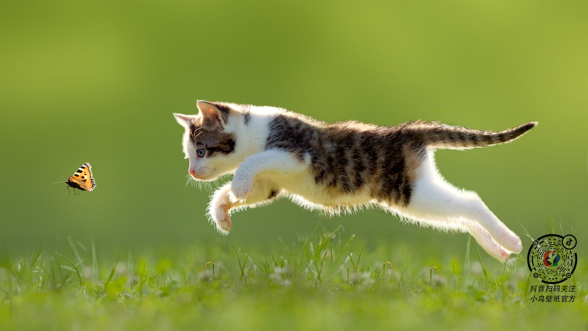 九游登录中心-历史性奥运资格赛爆冷事件，奥运会比赛历史