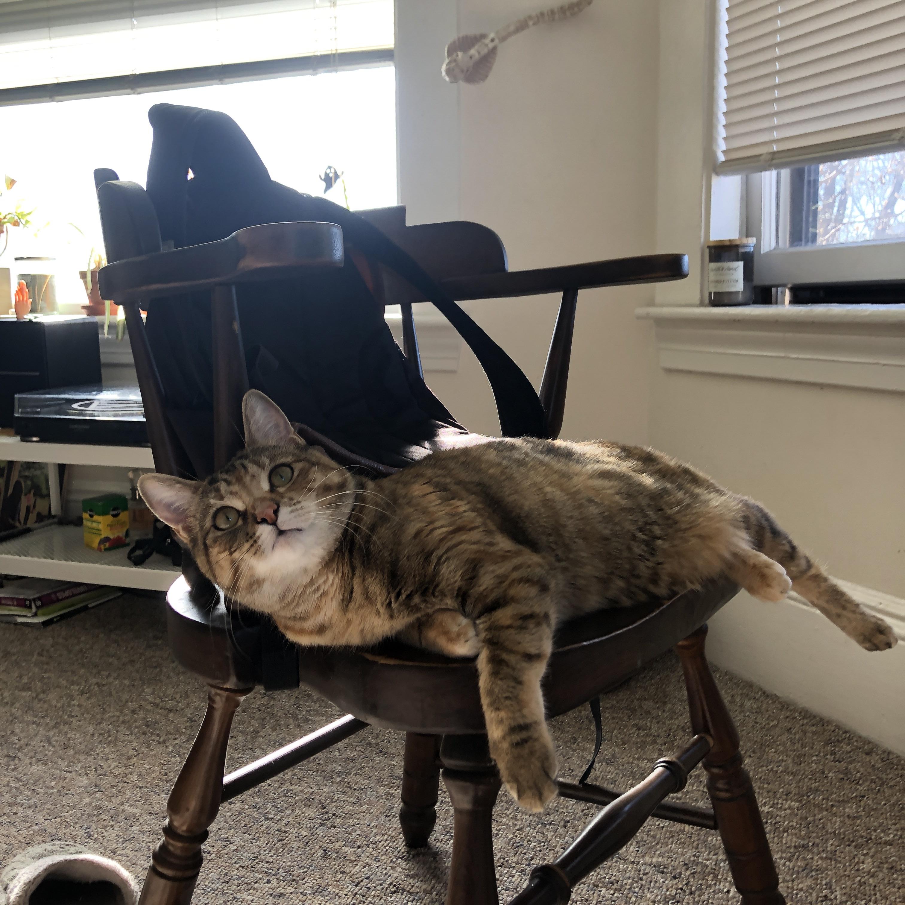 九游娱乐官网 (jiuyou)-国际踢球大赛风云再起：谁将问鼎？，国际足球比赛时间是多长