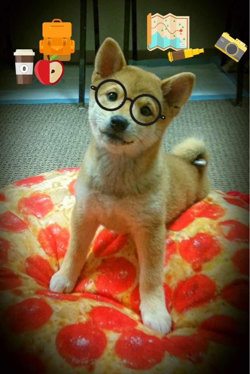 九游下载安装-国足传中精准度与前锋跑位成功率配对，国足鼎盛时期十大前锋排名