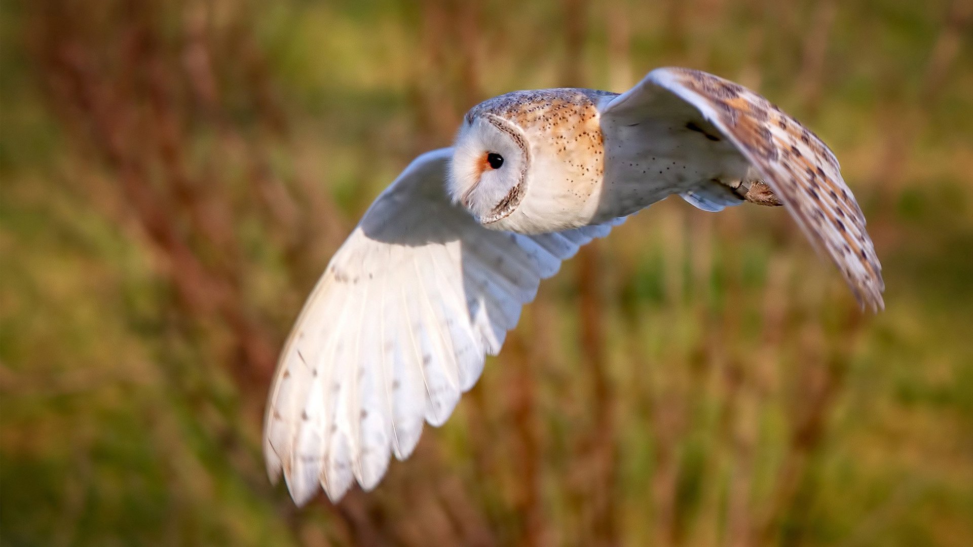 九游(jiuyou)官方网站-中国足球技术流派创新面临挑战,中国足球技术流派创新面临挑战的问题