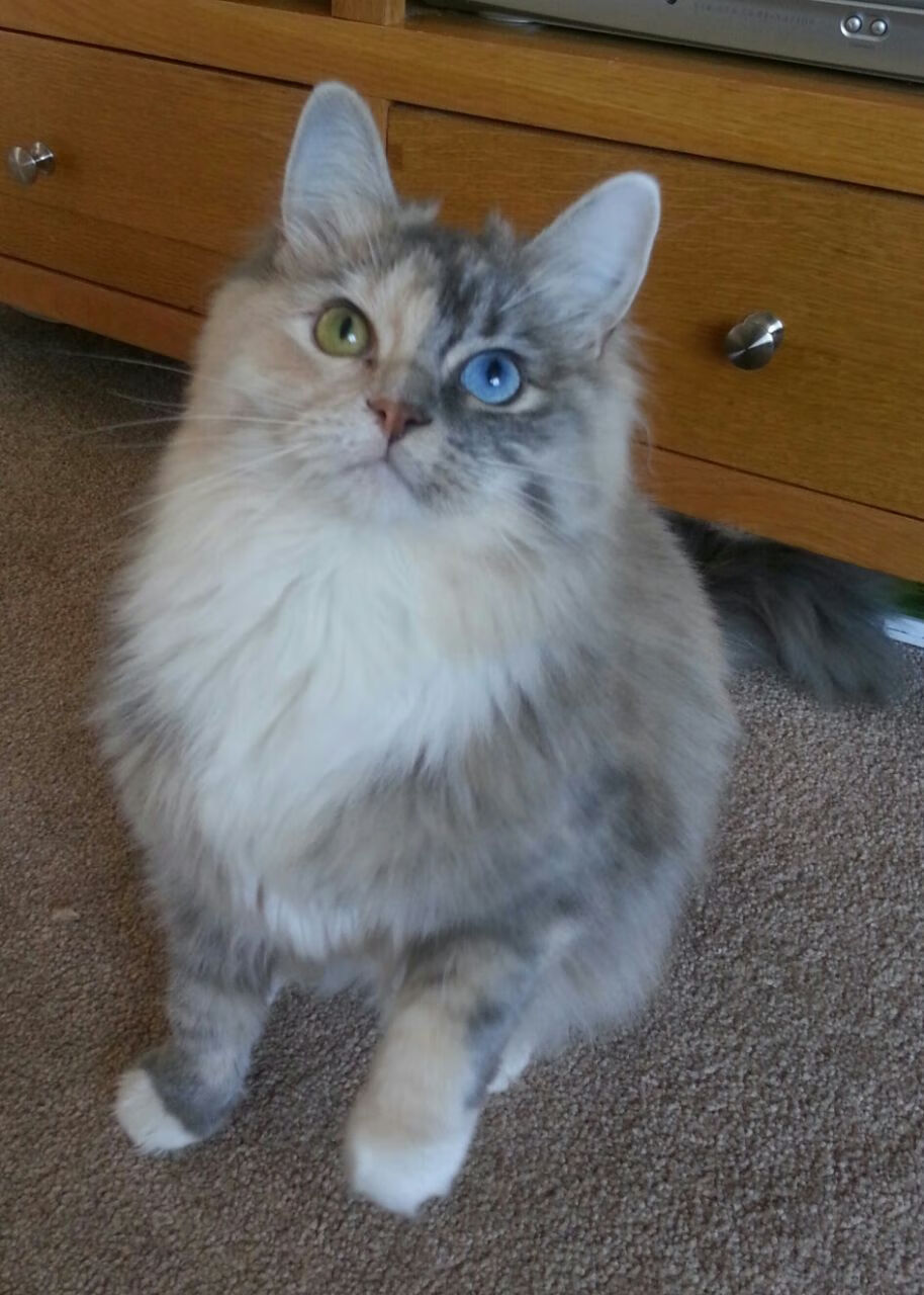 详细阅读:九游sports-乌干达男篮在非洲锦标赛中勇夺桂冠,体育精神旺盛 九游sports-乌干达男篮在非洲锦标赛中勇夺桂冠,体育精神旺盛