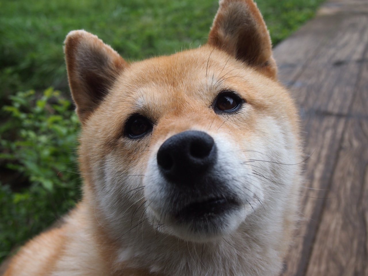 九游网页版官网入口-意甲风云变幻：精彩瞬间层出不穷！，意甲巅峰时期