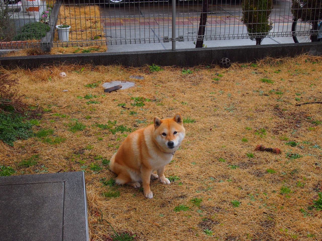 九游娱乐官网 (JIUYOU)-网球大师赛决赛精彩瞬间,网球大师赛决赛精彩瞬间图片